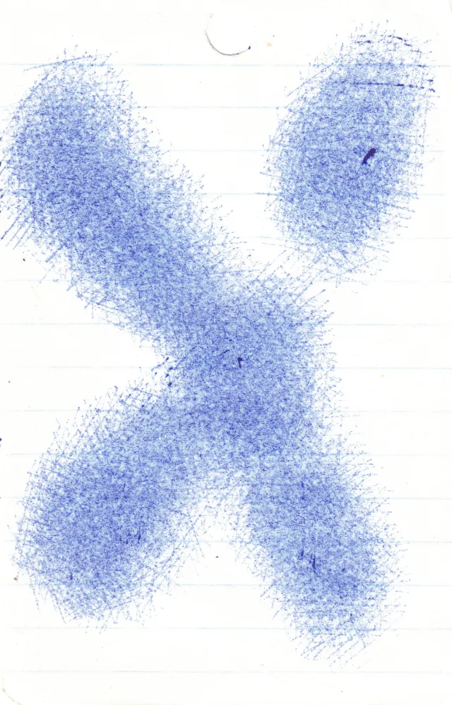 Negro 1 — 09