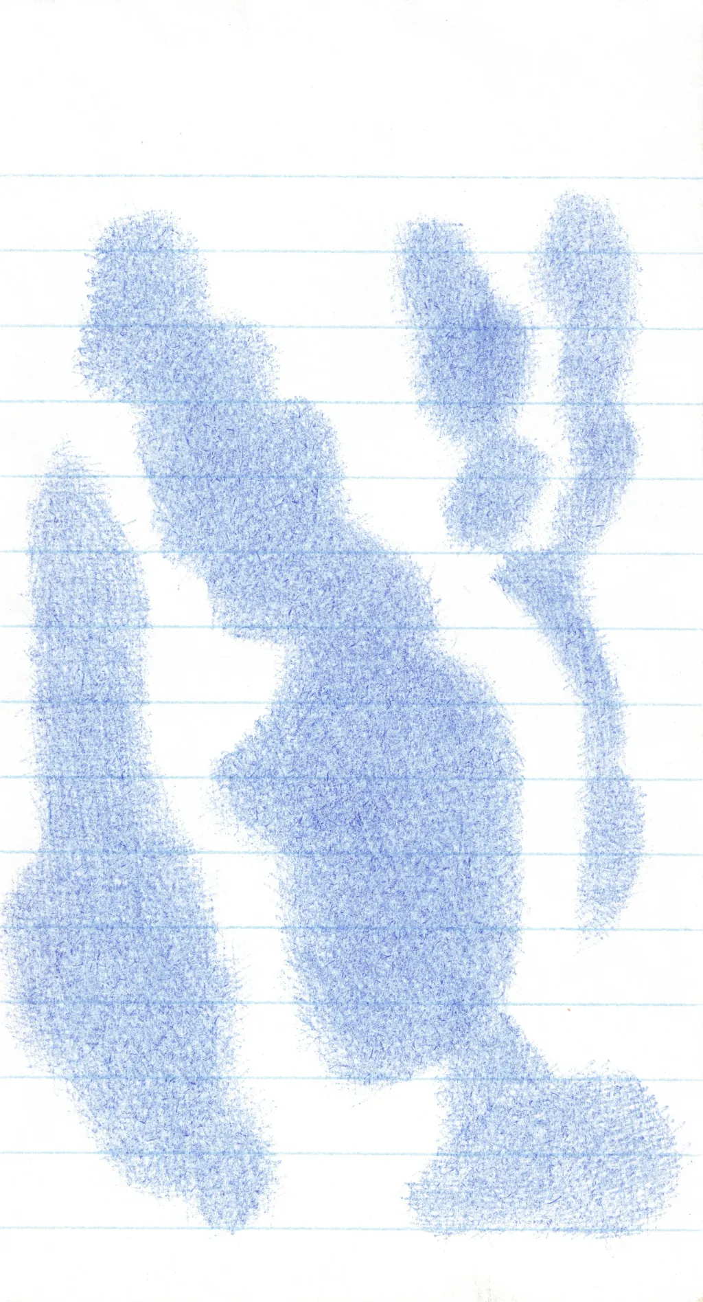 Negro 2 — 15