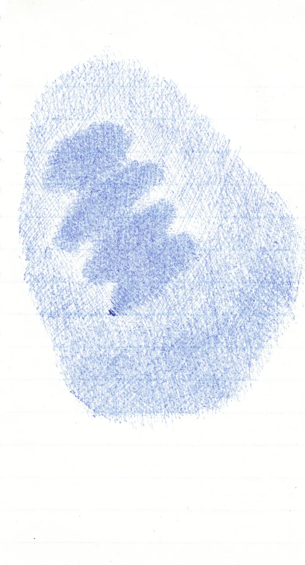 Verde 4 — 08