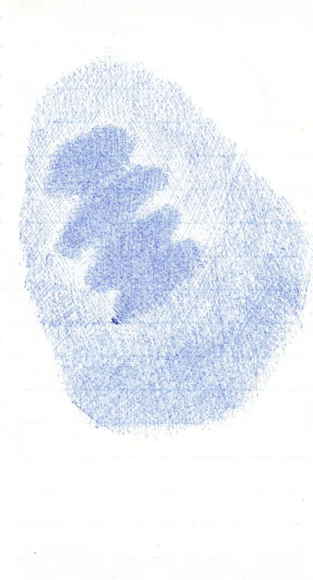 Verde 4 — 08